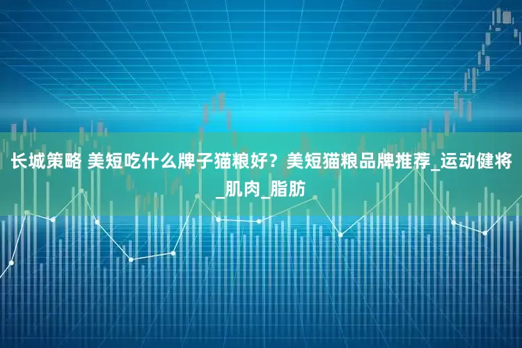 长城策略 美短吃什么牌子猫粮好？美短猫粮品牌推荐_运动健将_肌肉_脂肪